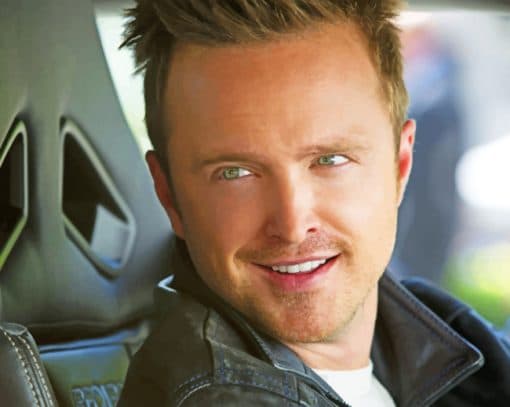 Actor Aaron Paul paint by numbers