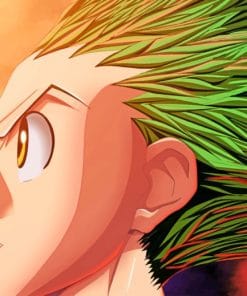 Gon Hunter X Hunter paint by numbers