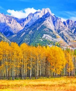 Aspens At Sawback Range Paint By Numbers