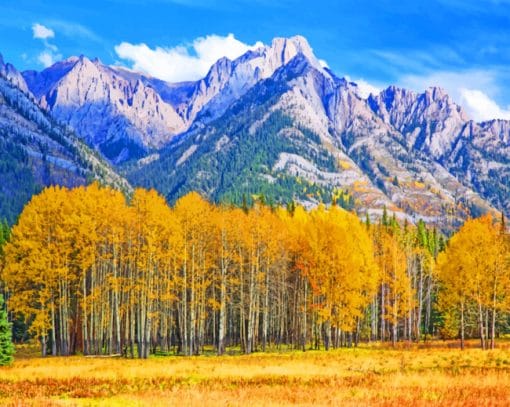 Aspens At Sawback Range Paint By Numbers