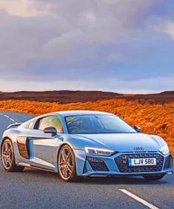 Audi R8 paint by numbers