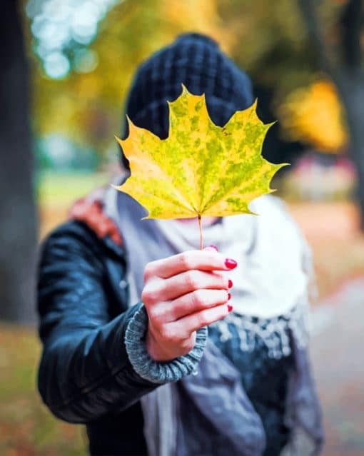 Autumn Colored Maple Leaf paint by numbers