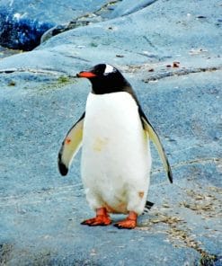 Black And White Penguin Paint By Numbers