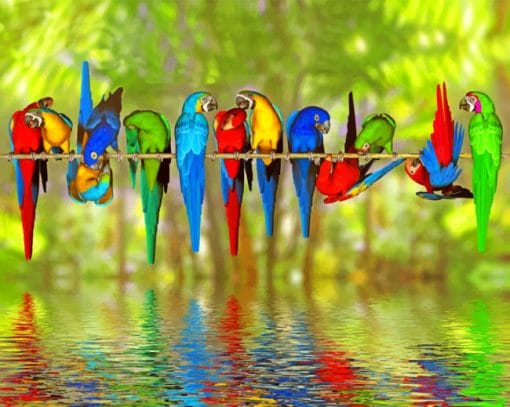 Colorful Macaws Paint By Numbers