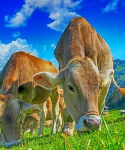 Cows Eating Grass Paint By Numbers