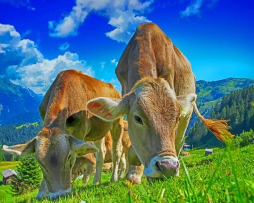 Cows Eating Grass Paint By Numbers