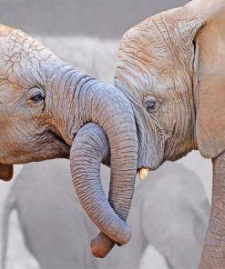 Elephant Lovers