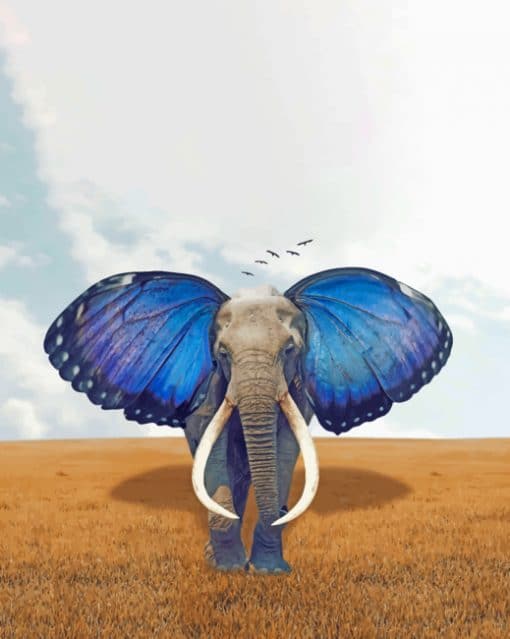 Elephant With Butterfly Ears paint by numbers