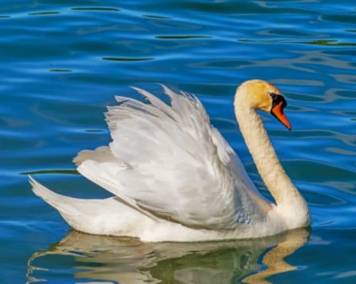 Floating White Beautiful Duck Paint By Numbers