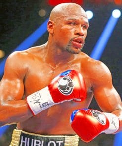 Floyd Mayweather paint by numbers