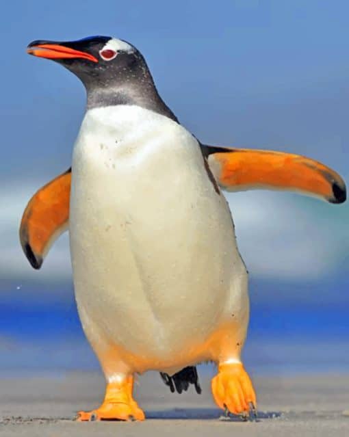 Gentoo Penguin paint by numbers