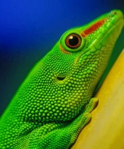 Green Lizard Reptiles paint by numbers