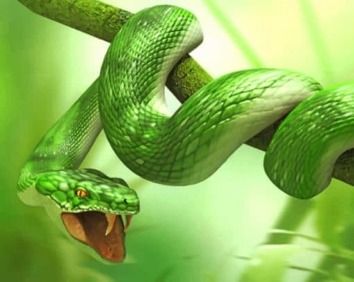 Green Tree Snake paint by numbers