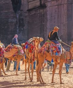 Jordan Petra Camels Paint By Numbers