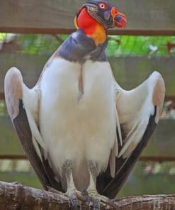 King Vulture paint by numbers