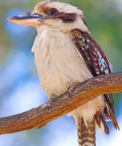 kookaburra Bird paint by numbers