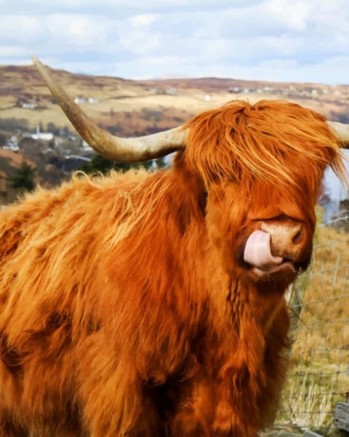 Light Brown Highland Cow Paint By Numbers