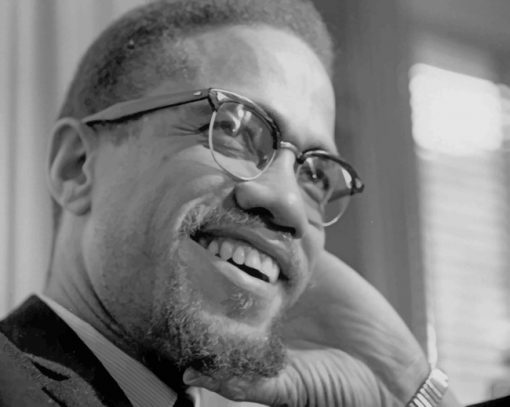 Malcom X American Minister paint by numbers