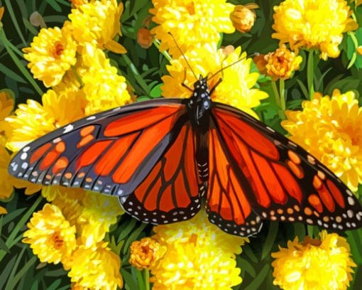 Monarch Checkered Butterfly paint by numbers