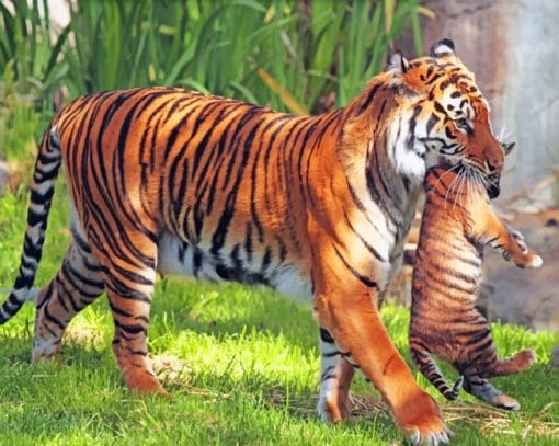 Mother Tiger And Its Cub Paint By Numbers