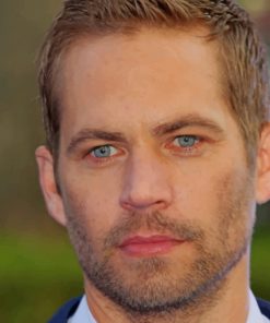 Movie Star Paul Walker paint by numbers