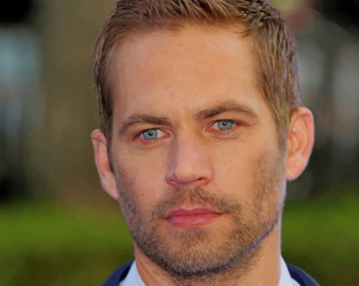 Movie Star Paul Walker paint by numbers