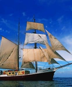 Ocean Sailing Ship paint by numbers