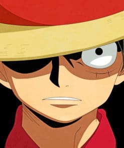 One Piece Luffy D Monkey paint by numbers