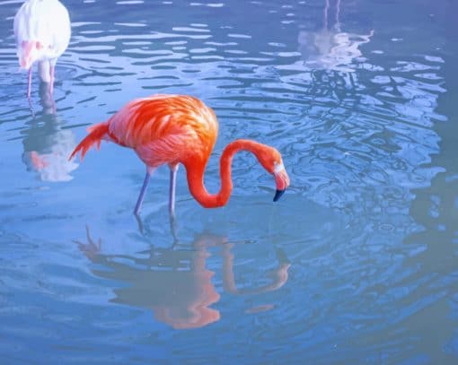 Orange Flamingo Paint By Numbers