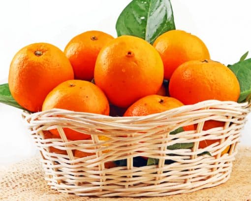 Orange Fruits in Basket paint by numbers