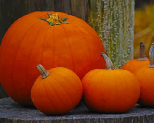 Orange Pumpkins On Tree paint by numbers