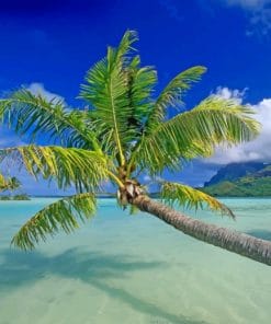 Palm Trees In Blue Beach paint by numbers