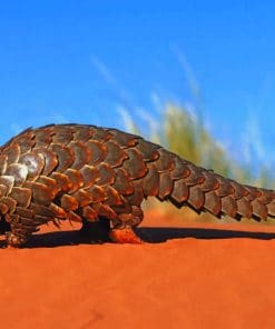 Pangolin Desert Animal paint by numbers