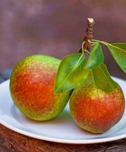 Pears With Leaves Fruits paint by numbers