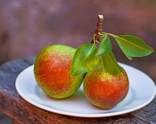 Pears With Leaves Fruits paint by numbers