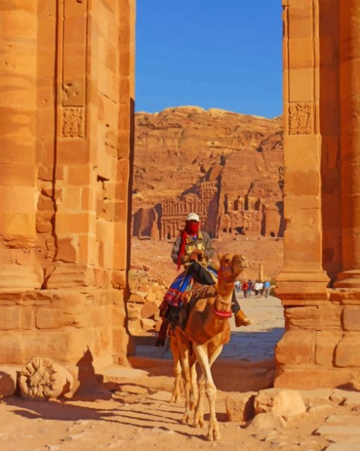 Petra Camel Paint By Numbers