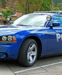 Police Car Paint By Numbers