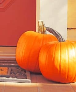 Pumpkins On The Door paint by numbers