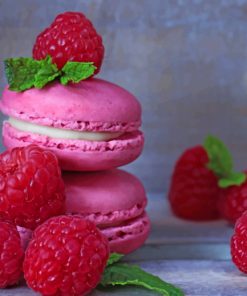 Raspberry Macarons paint by numbers