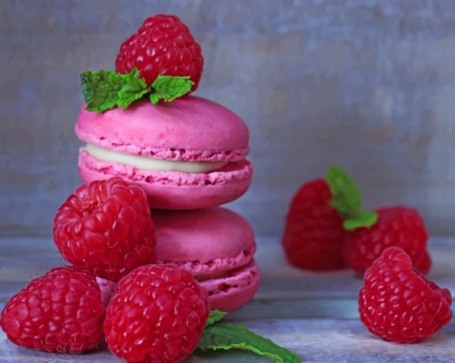 Raspberry Macarons paint by numbers