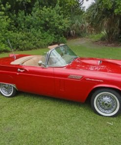 Red Ford Thunderbird Car paint by numbers