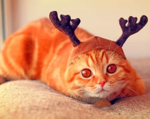 Reindeer Cat With Horns paint by numbers