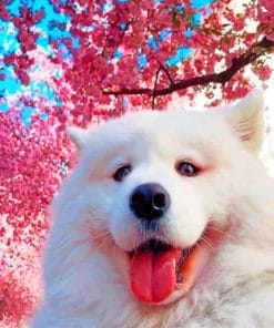 White Samoyed Under Cheery Blossom Tree paint by numbers