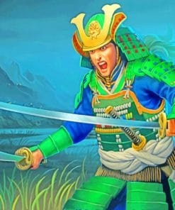 Animated Samurai Warrior paint by numbers