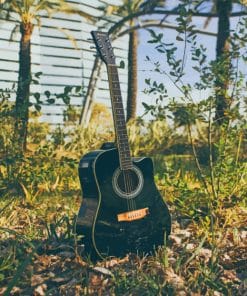 Simple Black Guitar Paint By Numbers