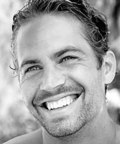 Actor Paul Walker paint by numbers