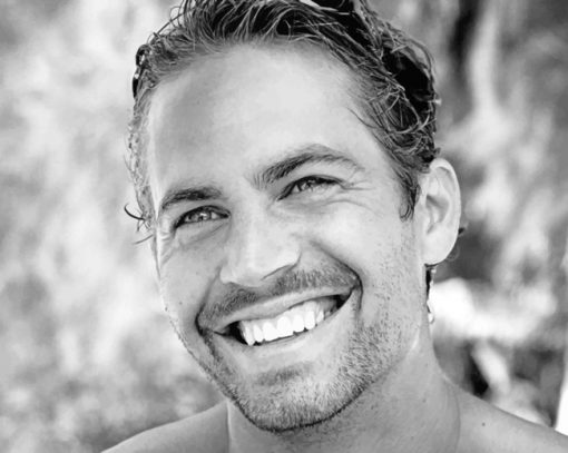 Actor Paul Walker paint by numbers