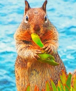 Squirrel Eating Leaves paint by numbers