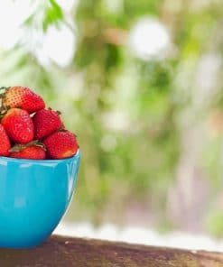 Strawberry Fruit In Cup paint by numbers