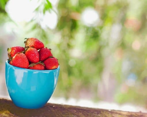 Strawberry Fruit In Cup paint by numbers